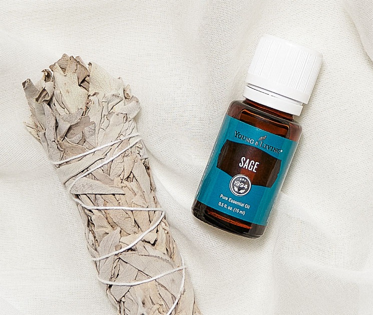 Blog_Sage-essential-oil-From-sacred-herb-to-precious-oil_Micrographic_US.jpg